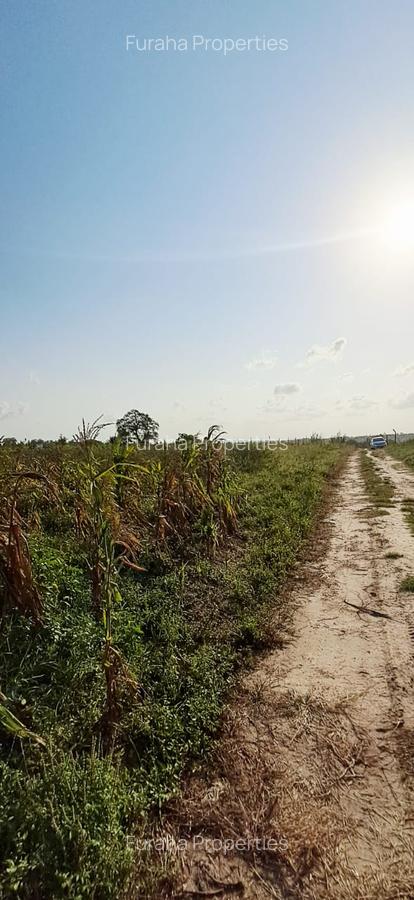 Land in Kilifi - 8