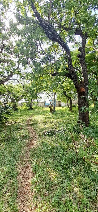 Land at Shanzu Serena - 16