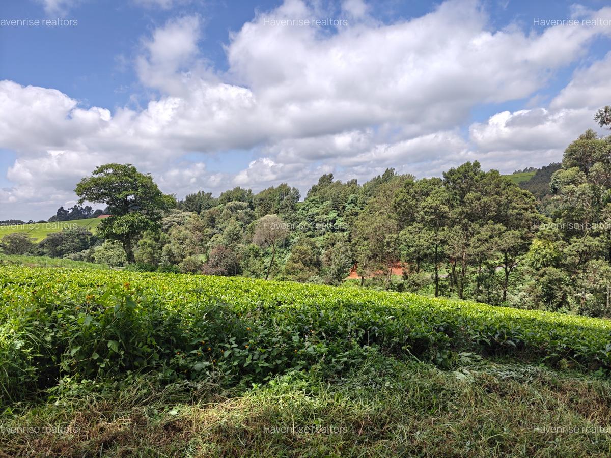 Land at Tigoni - 3