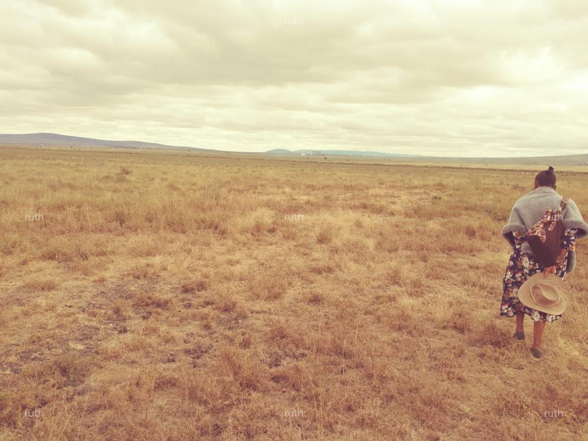 1 ac Land at Konza North - 3