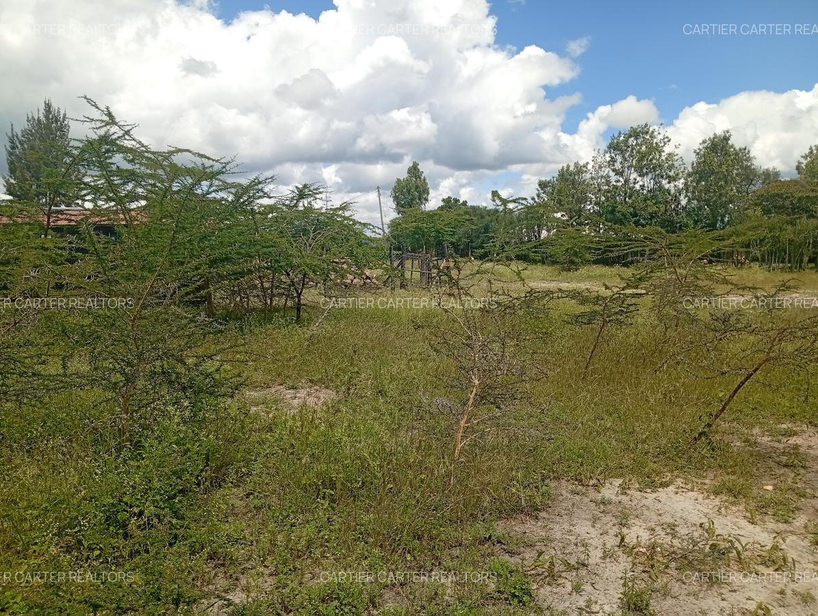 0.125 ac Land at Kyumvi Junction - 4