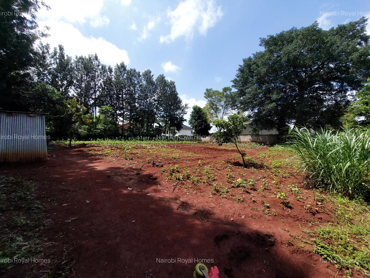 Residential Land at Kirawa Road - 12