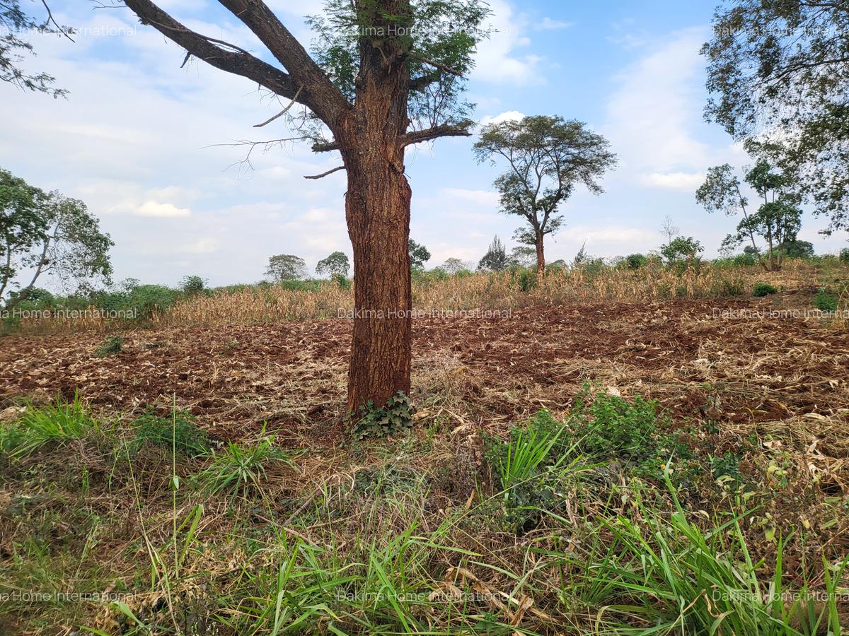 Residential Land in Ruiru - 3