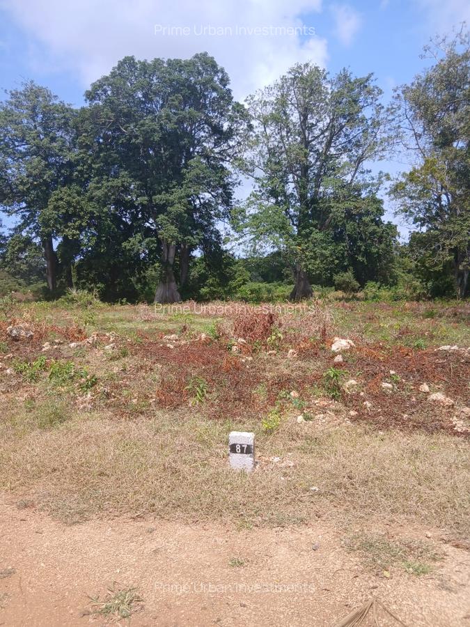 1,000 m² Residential Land at Vipingo - Kuruwitu - 19