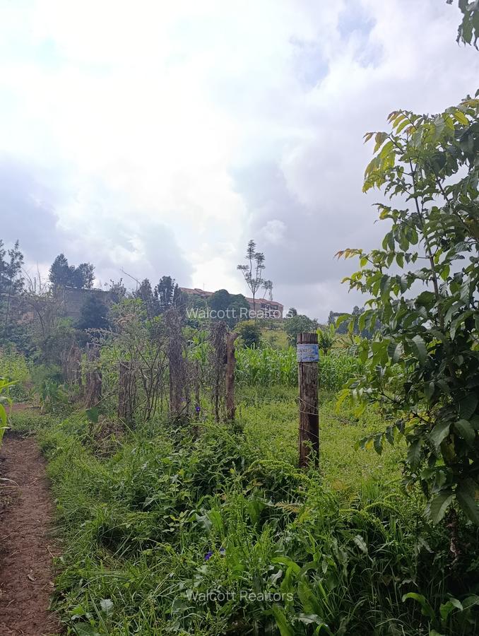 Land in Ruaka - 4