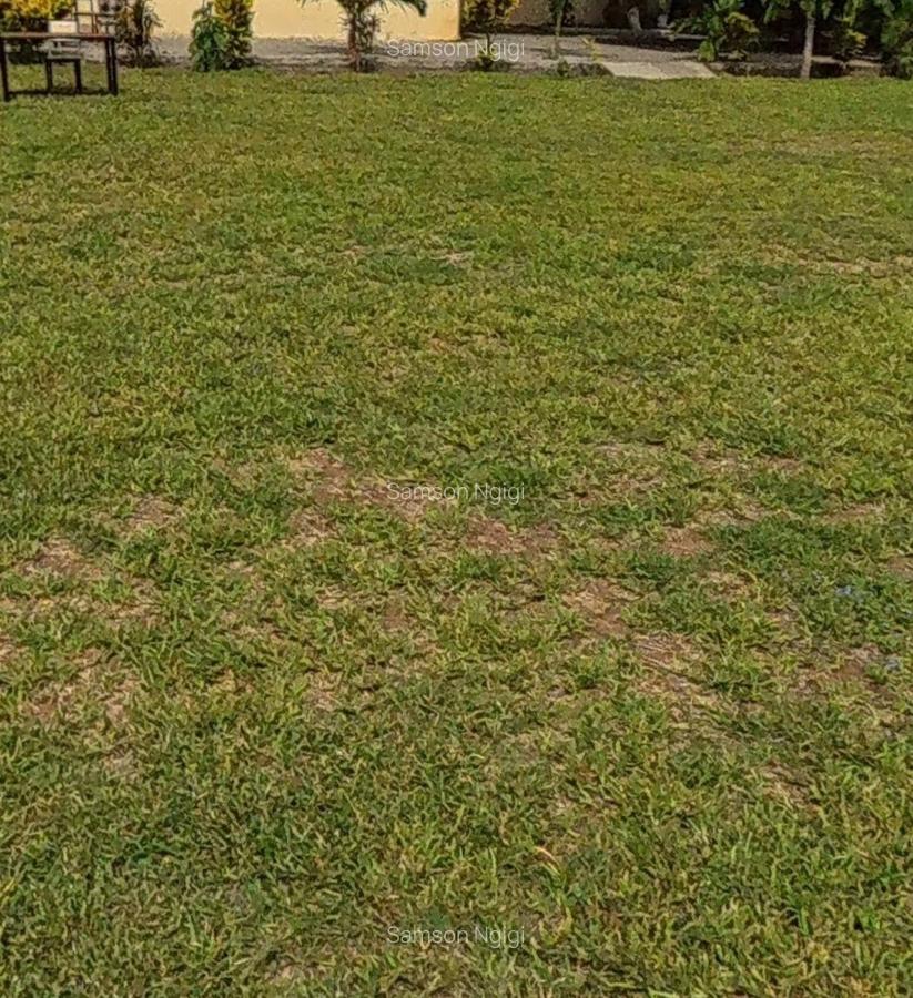 0.115 m² Land at Opp Hotel Comster - 2