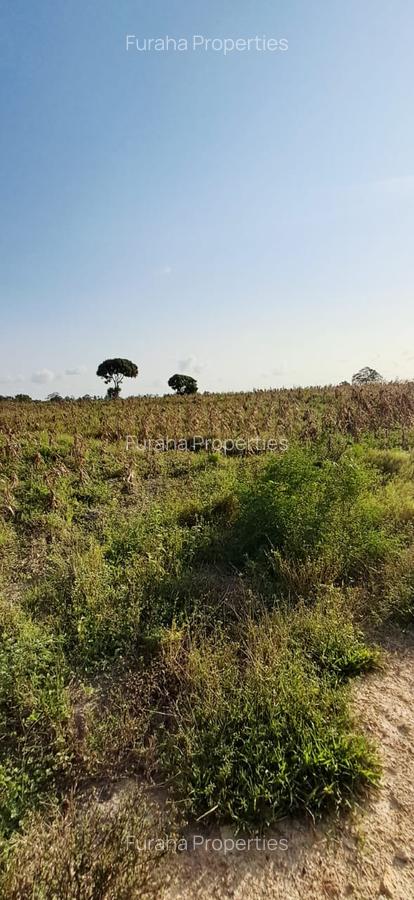 Land in Kilifi - 12