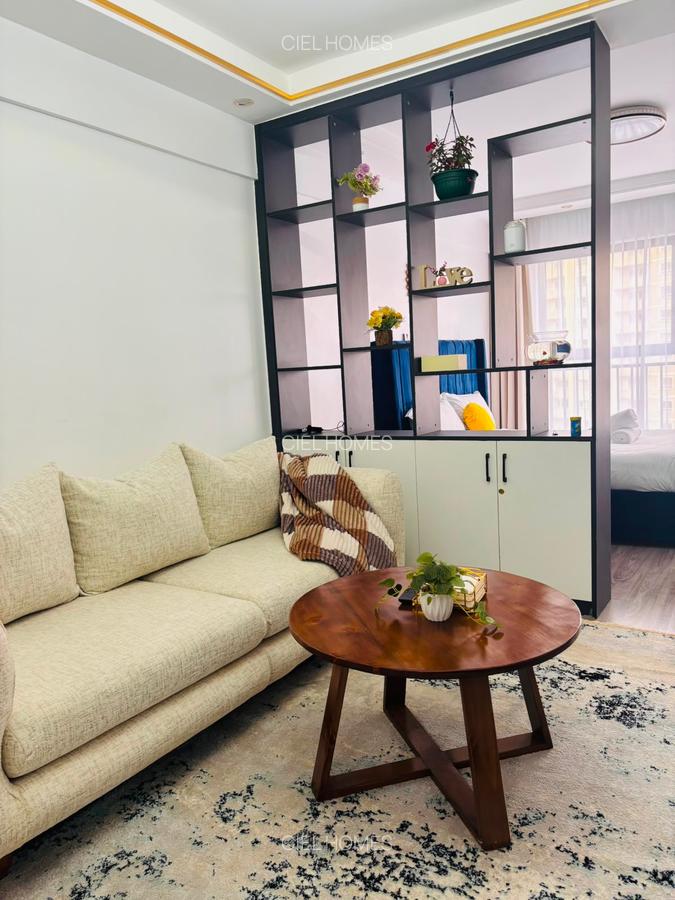 Serviced Studio Apartment with Gym at Tabere Drive - 2