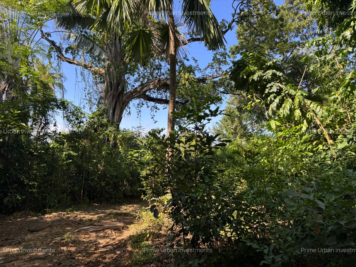 10.95 ac Land at Shanzu Beach - Overlooking Mtwapa Creek - 5