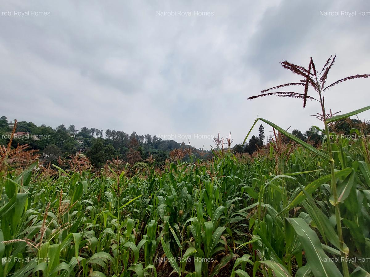 Residential Land at Kitisuru Ridge 44 - 13