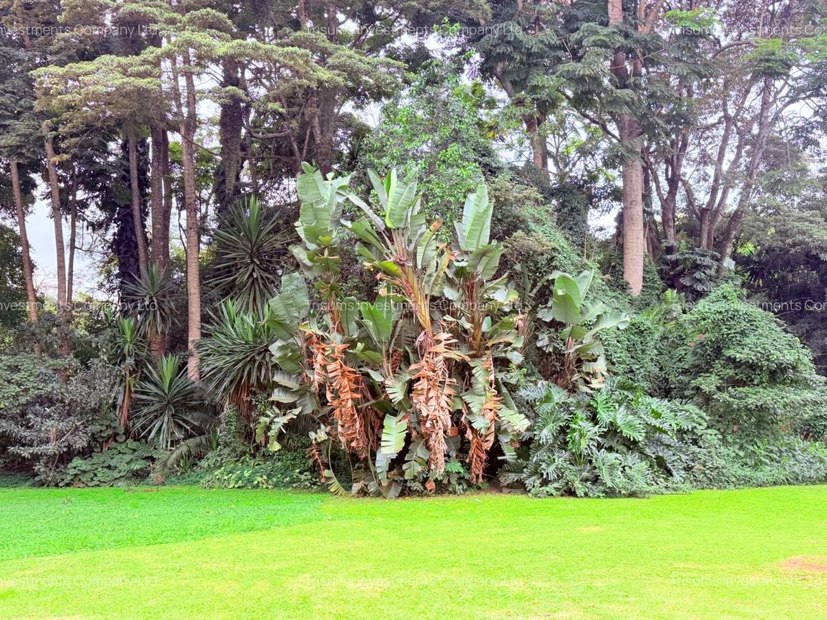 4.1 ac Land in Rosslyn - 7