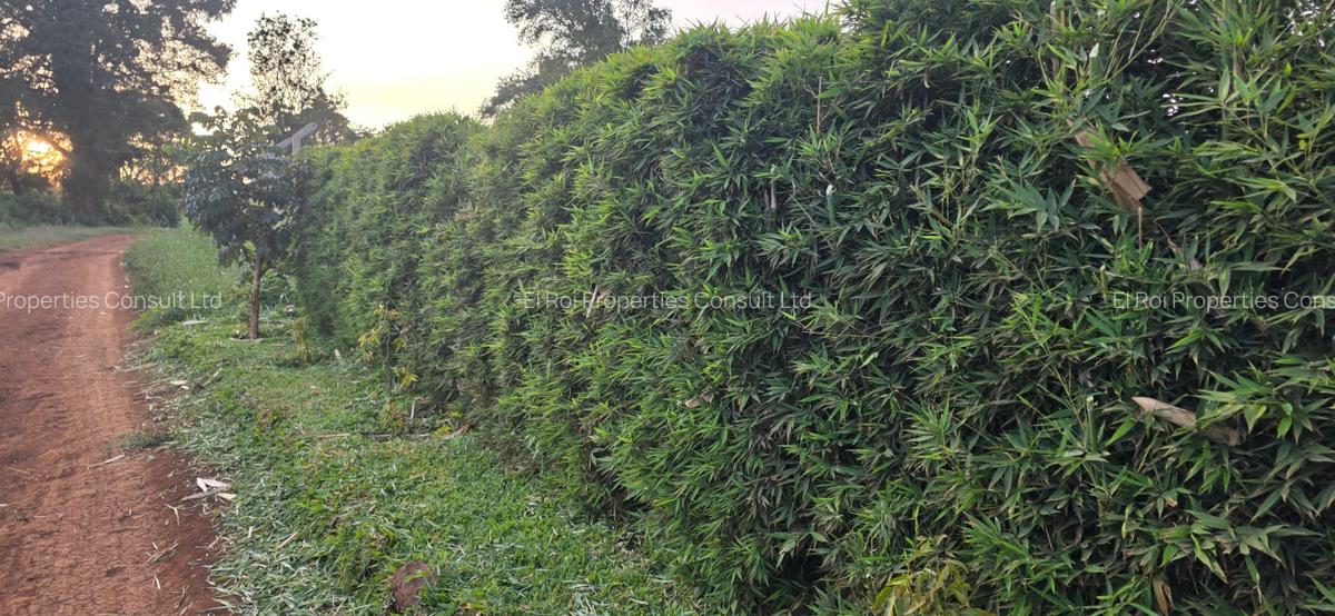 Residential Land in Kiambu Road - 5