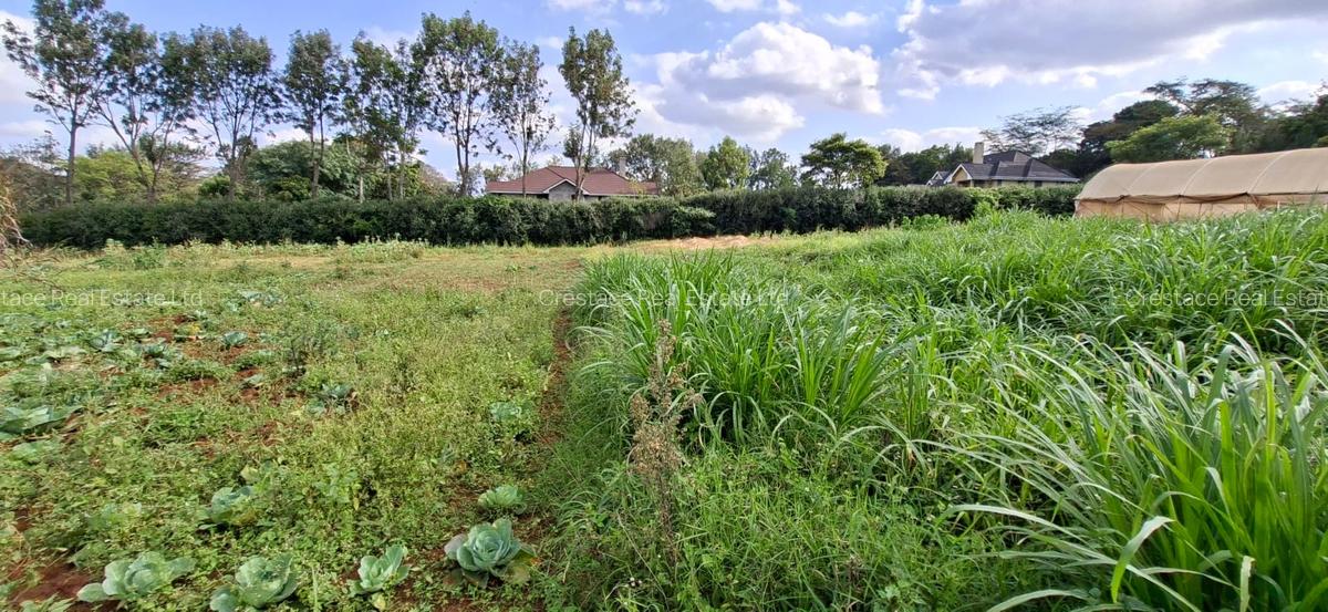 0.2 ha Residential Land at Three Dee Lane - 10