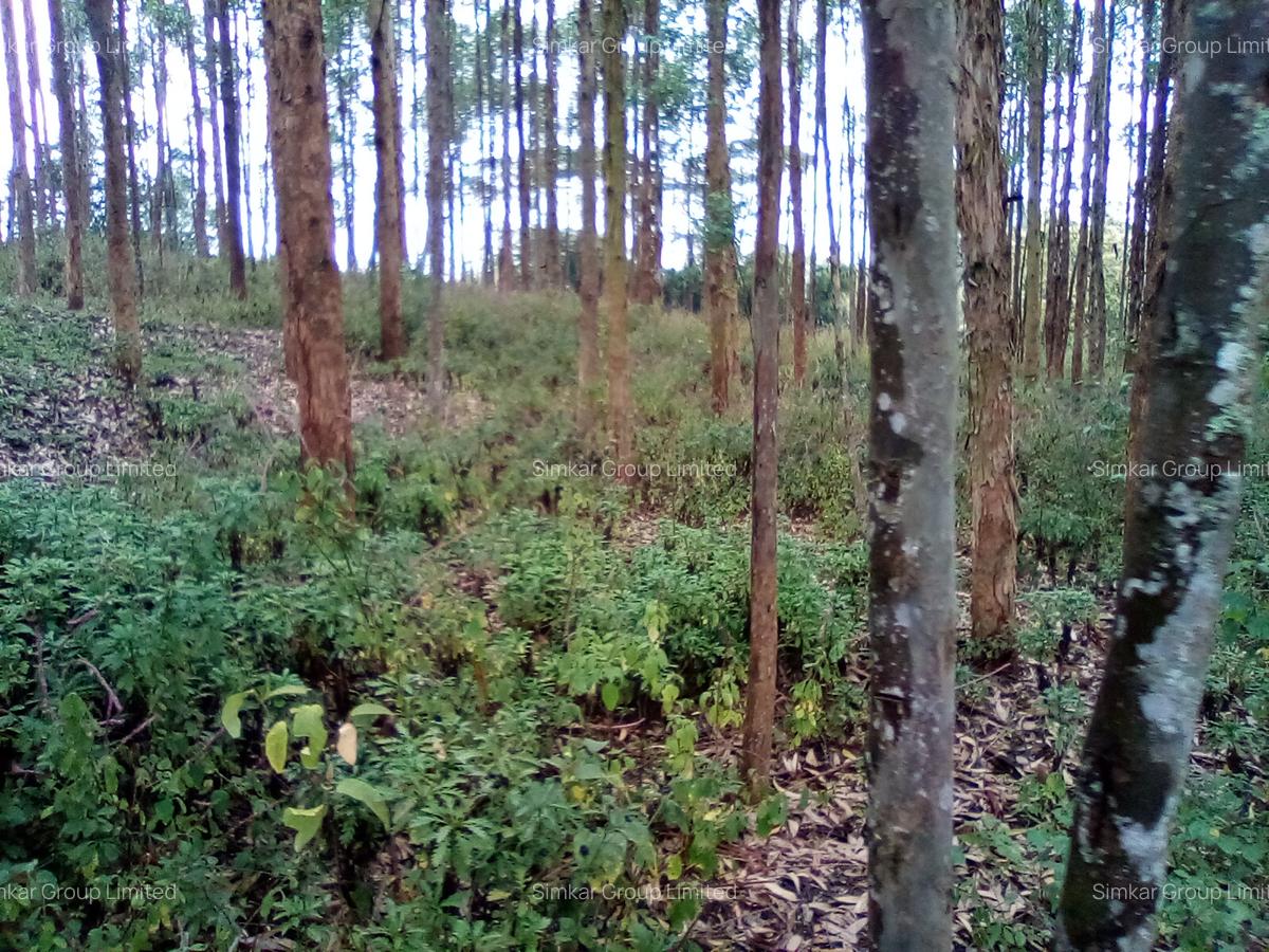 Land at Upper Matasia - 1