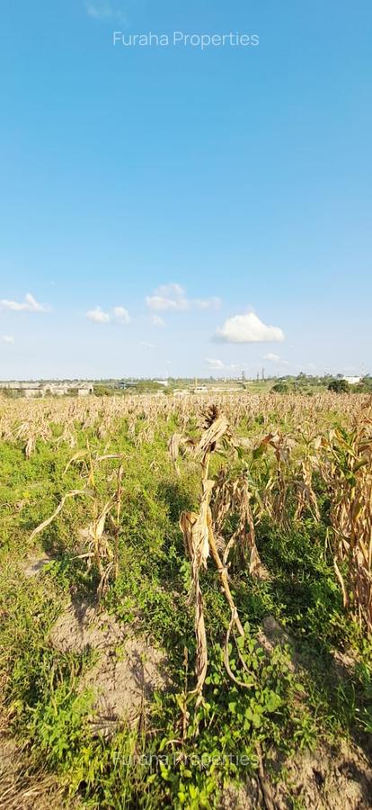 Land in Kilifi - 6