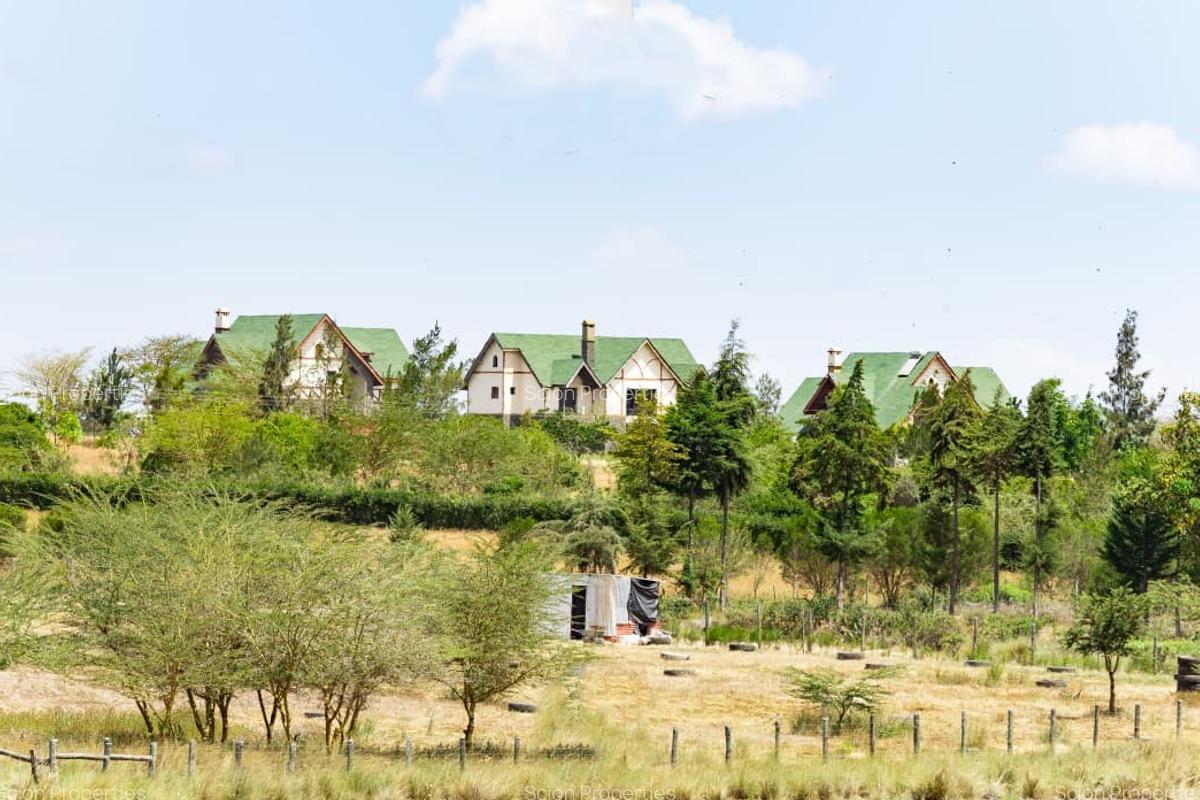 0.125 ac Residential Land in Nanyuki - 12