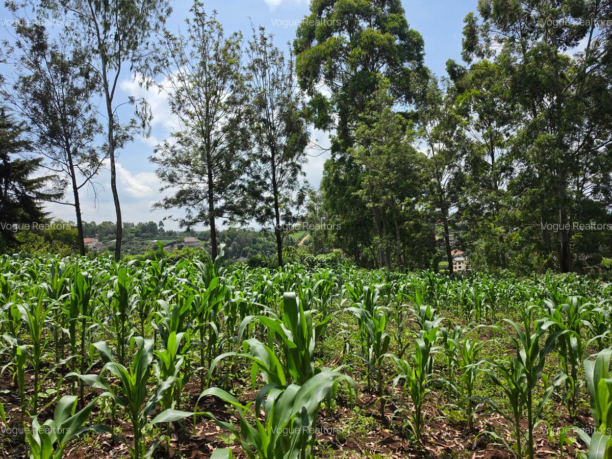 Land at Matasia - 2
