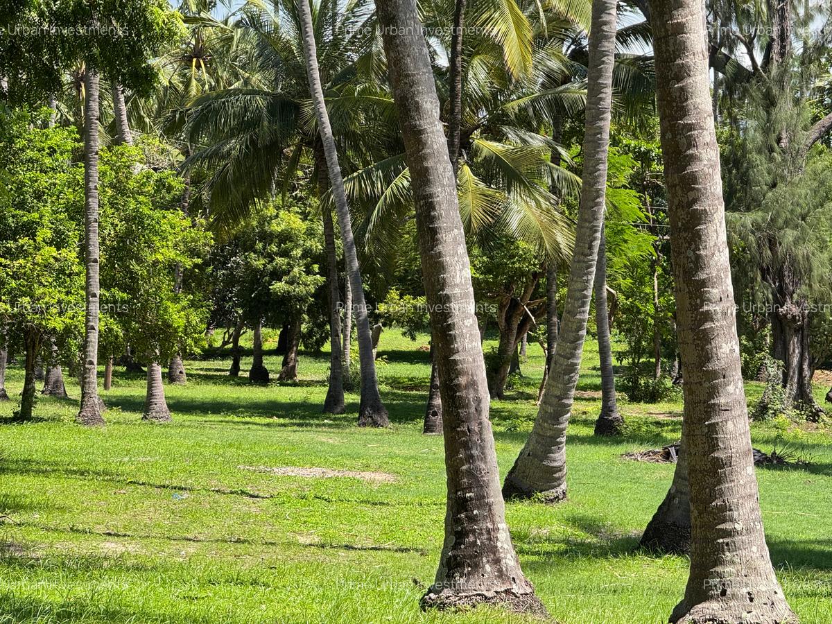 3.9 ac Land at Kikambala Beach - 6