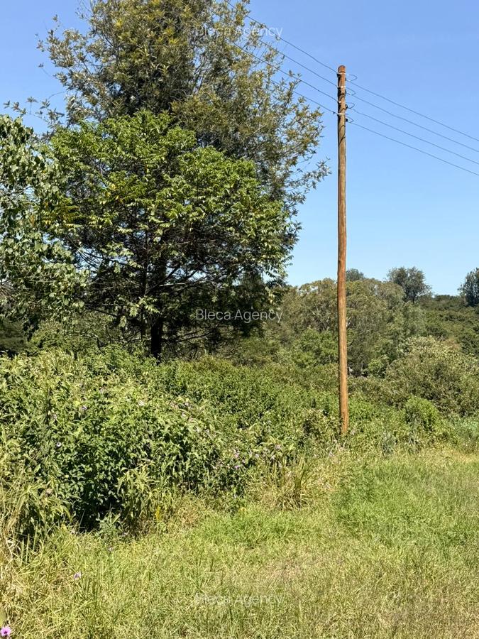 500 m² Residential Land at Ruiru-Githunguri Road - 15