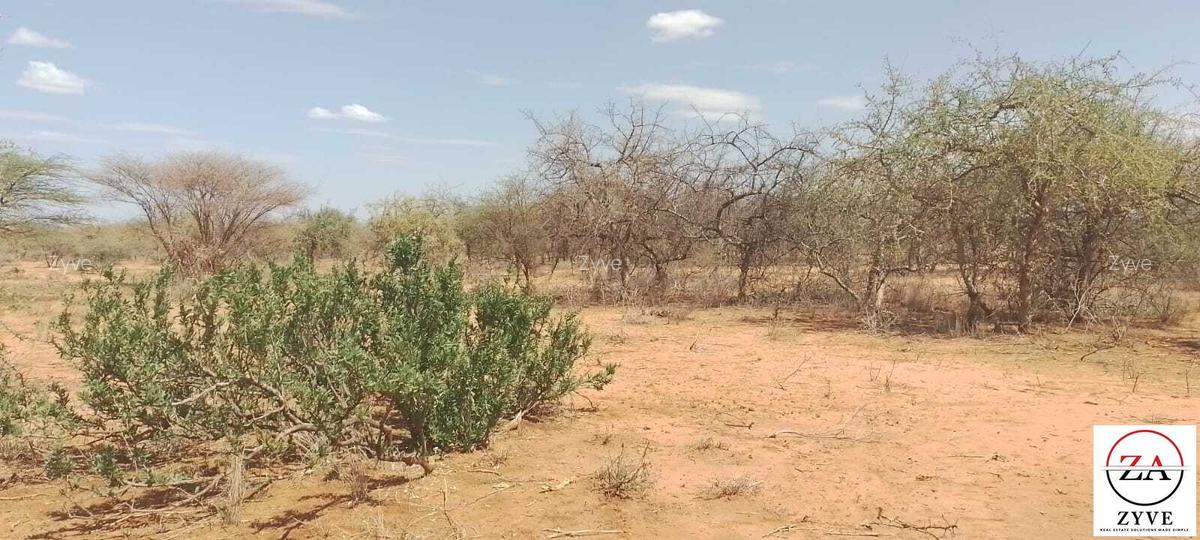 148 ac Land at Namanga Road - 7