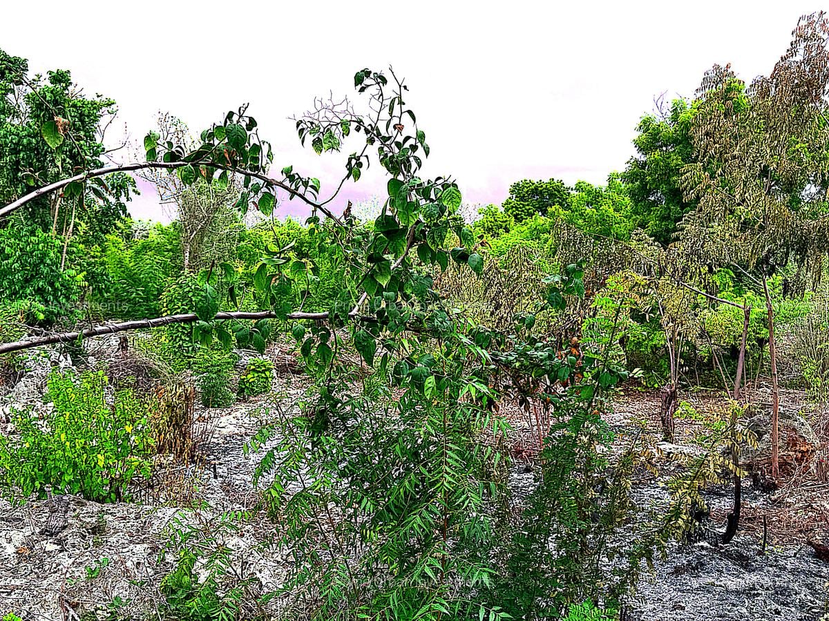 2,010 m² Residential Land at Second Row Kuruwitu Beach - 8