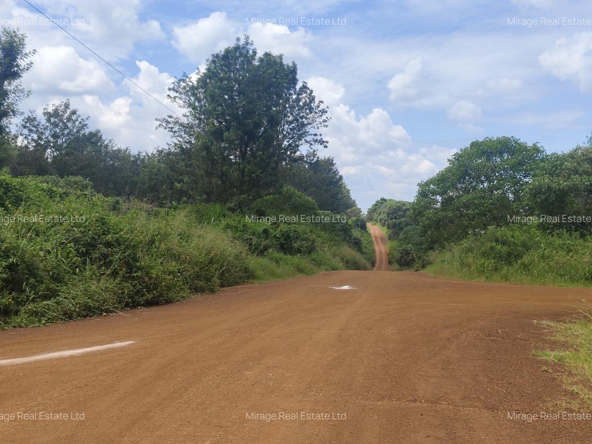 0.5 ac Residential Land in Tatu City - 9