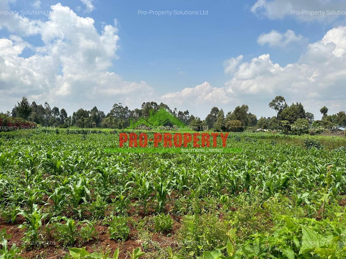 0.4 ha Land at Tilisi - 10