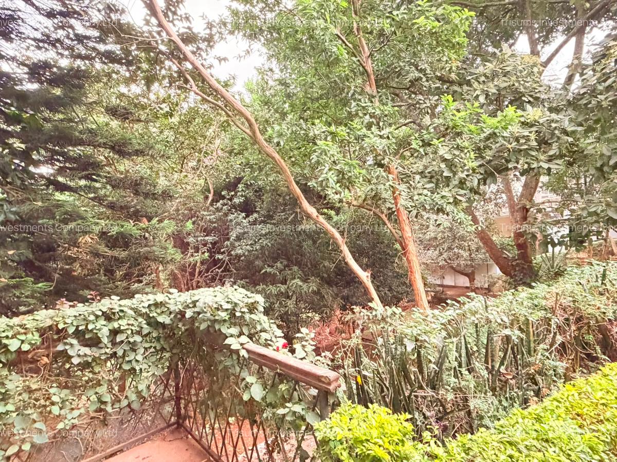 1 ac Land in Spring Valley - 4