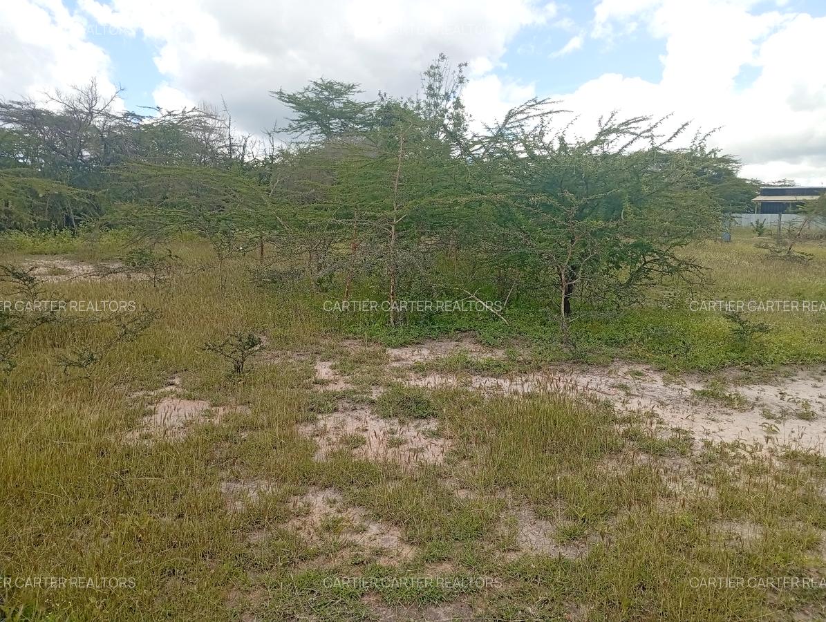 0.125 ac Land at Kyumvi Junction - 8