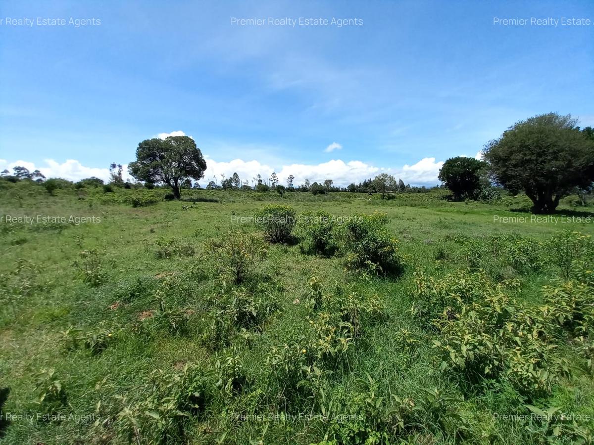 5 ac Residential Land at Nanyuki - 9