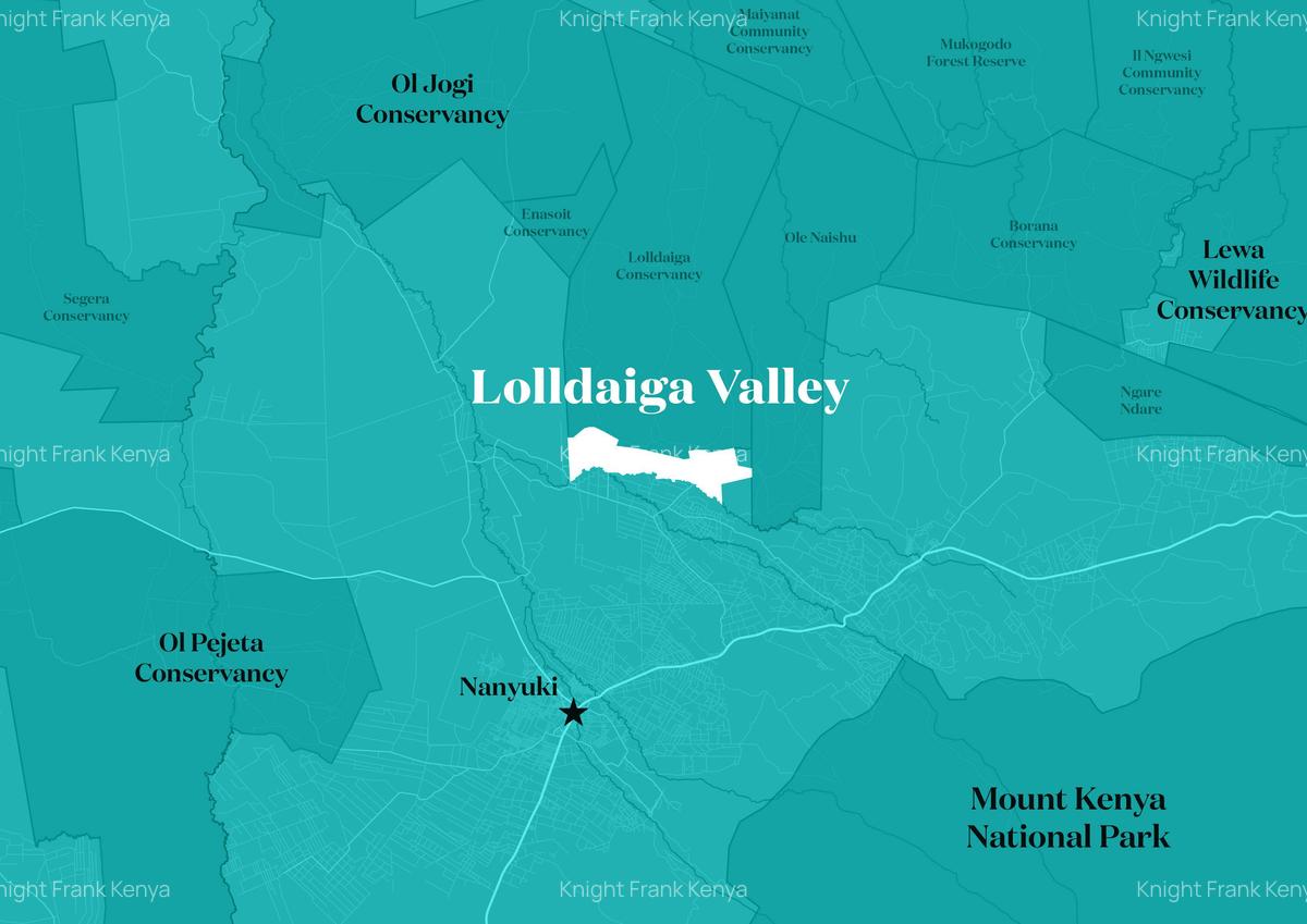 100 ac Land at Lolldaiga Valley - 8