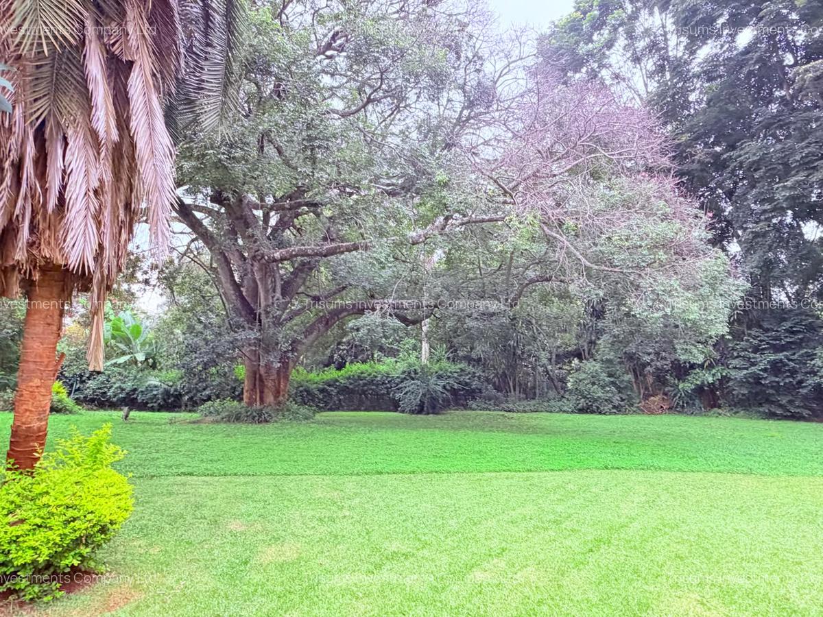 4.1 ac Land in Rosslyn - 8
