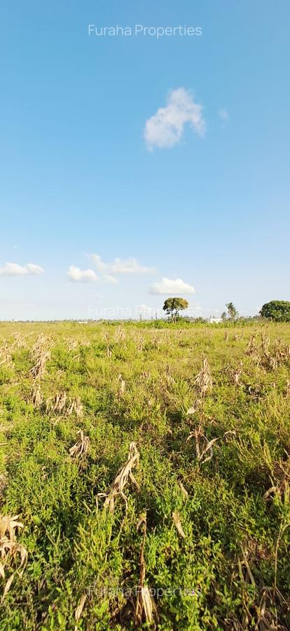 Land in Kilifi - 4