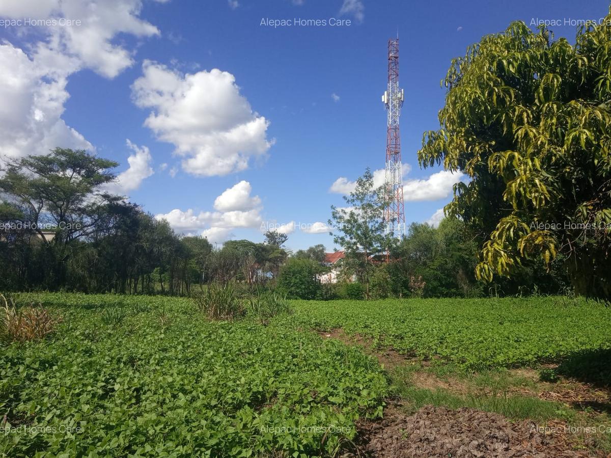 1.25 ac Land at Kamakis - 3