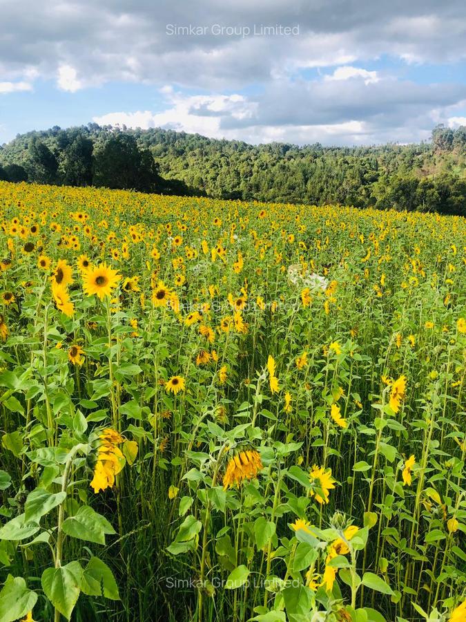 33 ac Land at Ol Kalou - 6