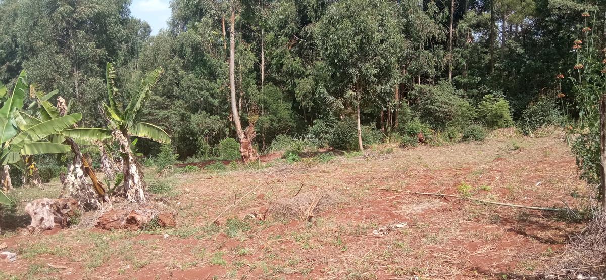0.25 ac Land at Ruaka - 5