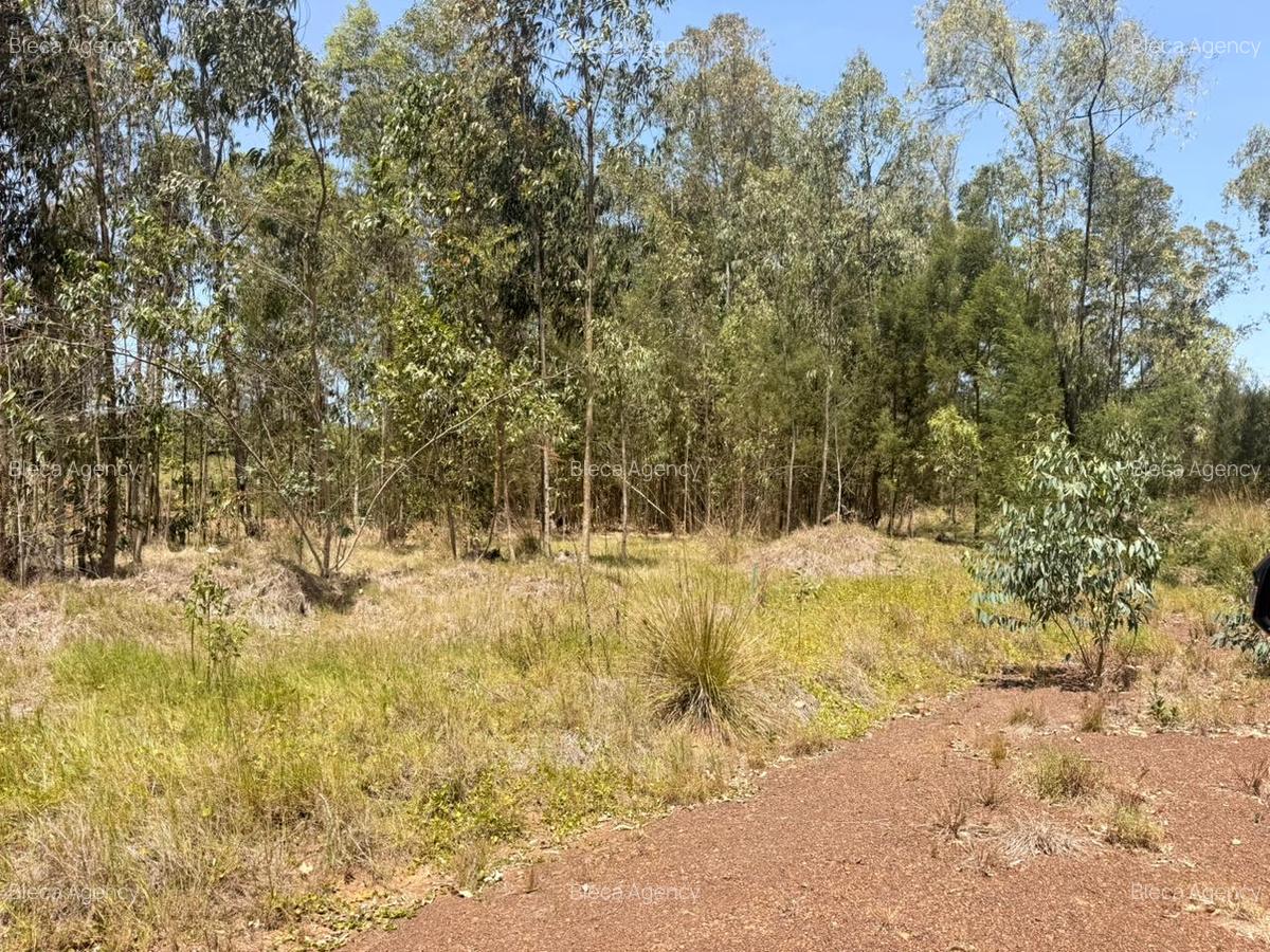 500 m² Land at Ruiru-Githunguri Road - 13