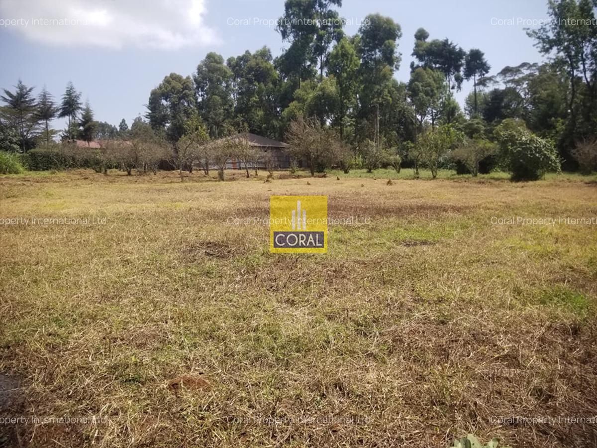 Land in Limuru Town - 1