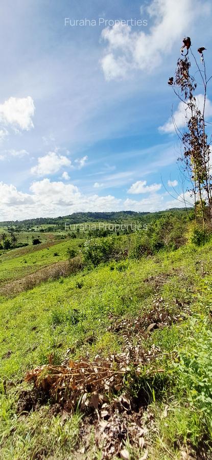 Land at Vipingo - 4
