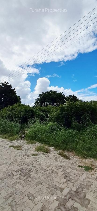 Land at Malindi - 12