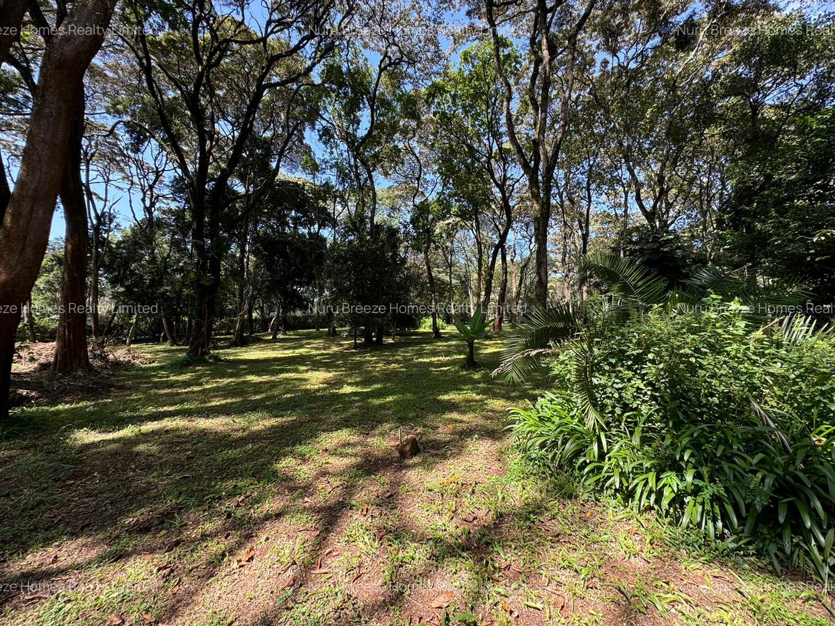1 ac Land in Karen - 6