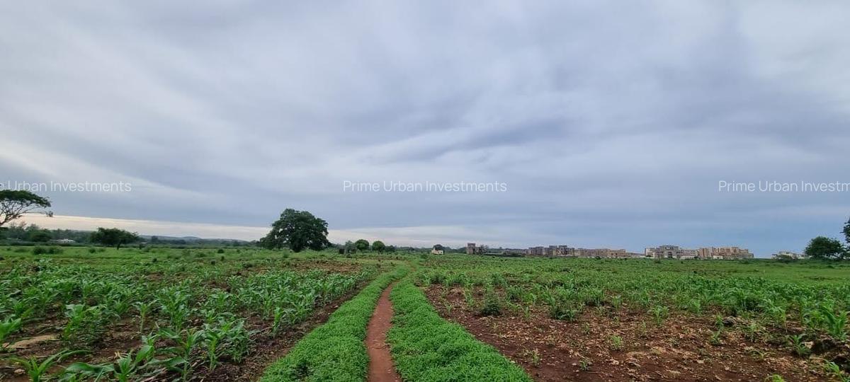 Land at Utalii - Vipingo - 6