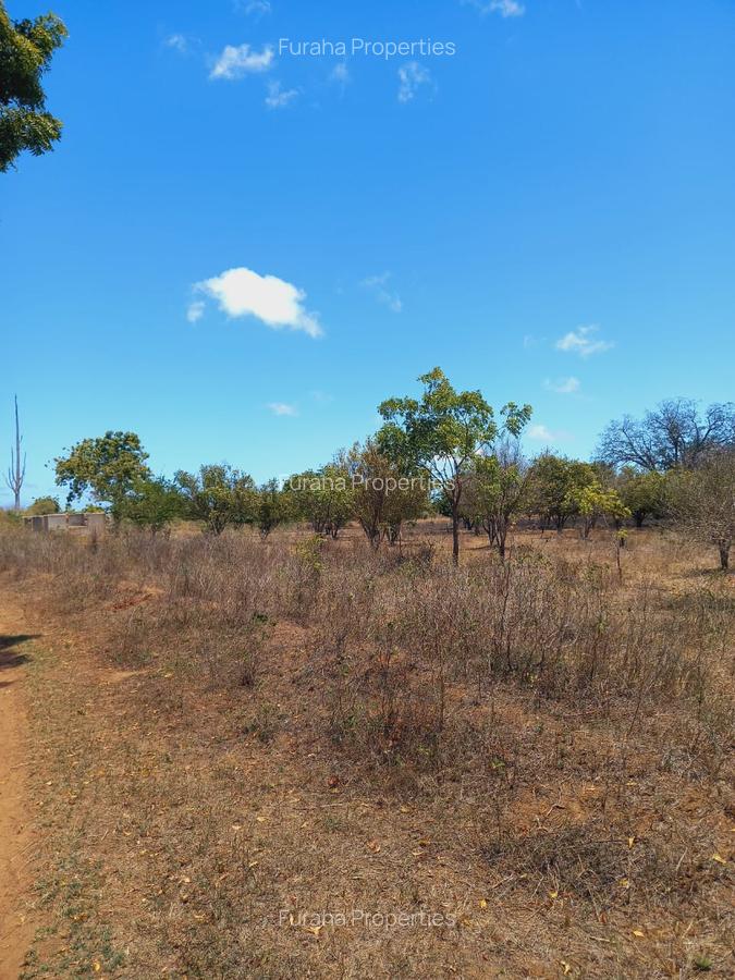 Land at Near Munarani - 5