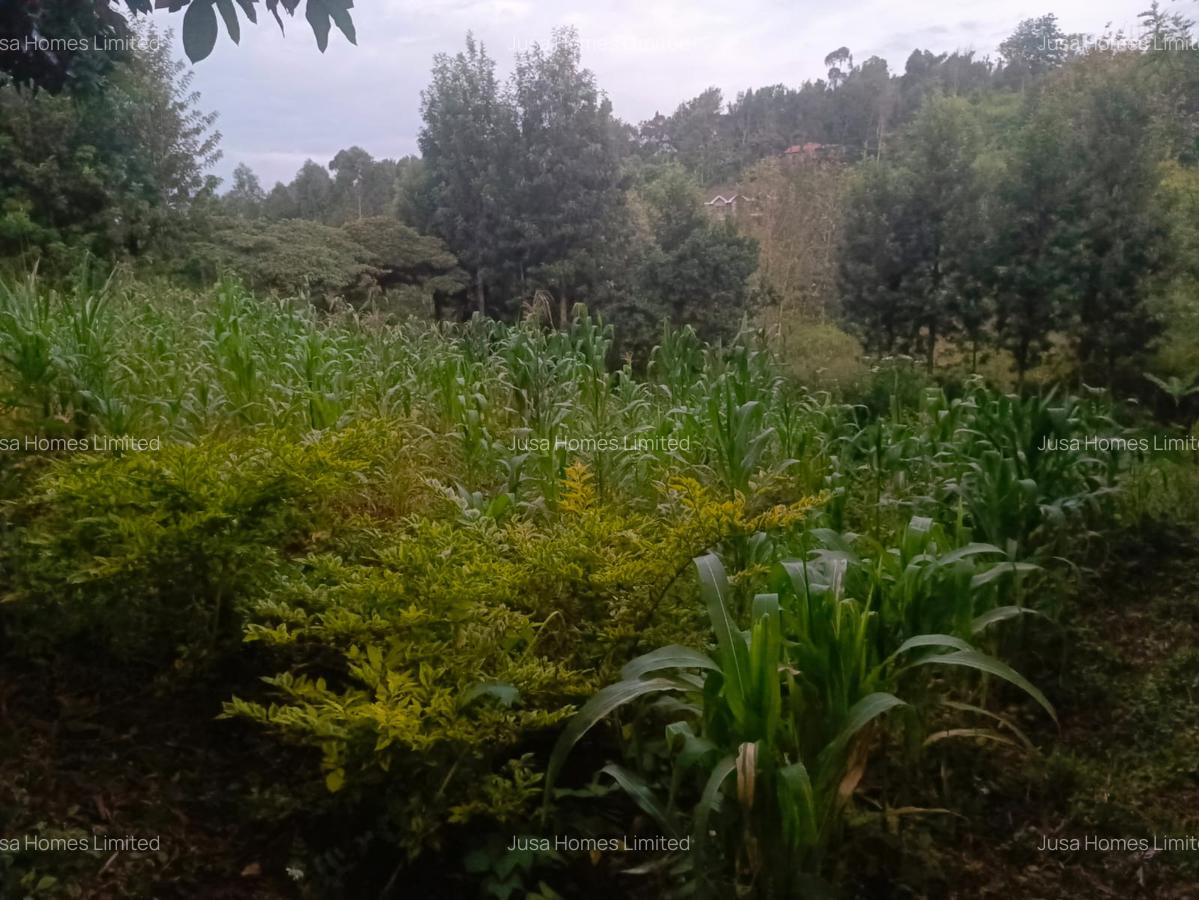 Land in Ngong - 1