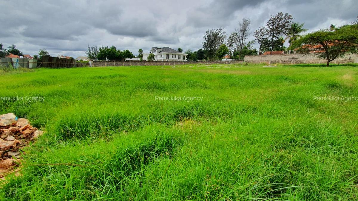 1 ac Residential Land at Karen Plains - 6