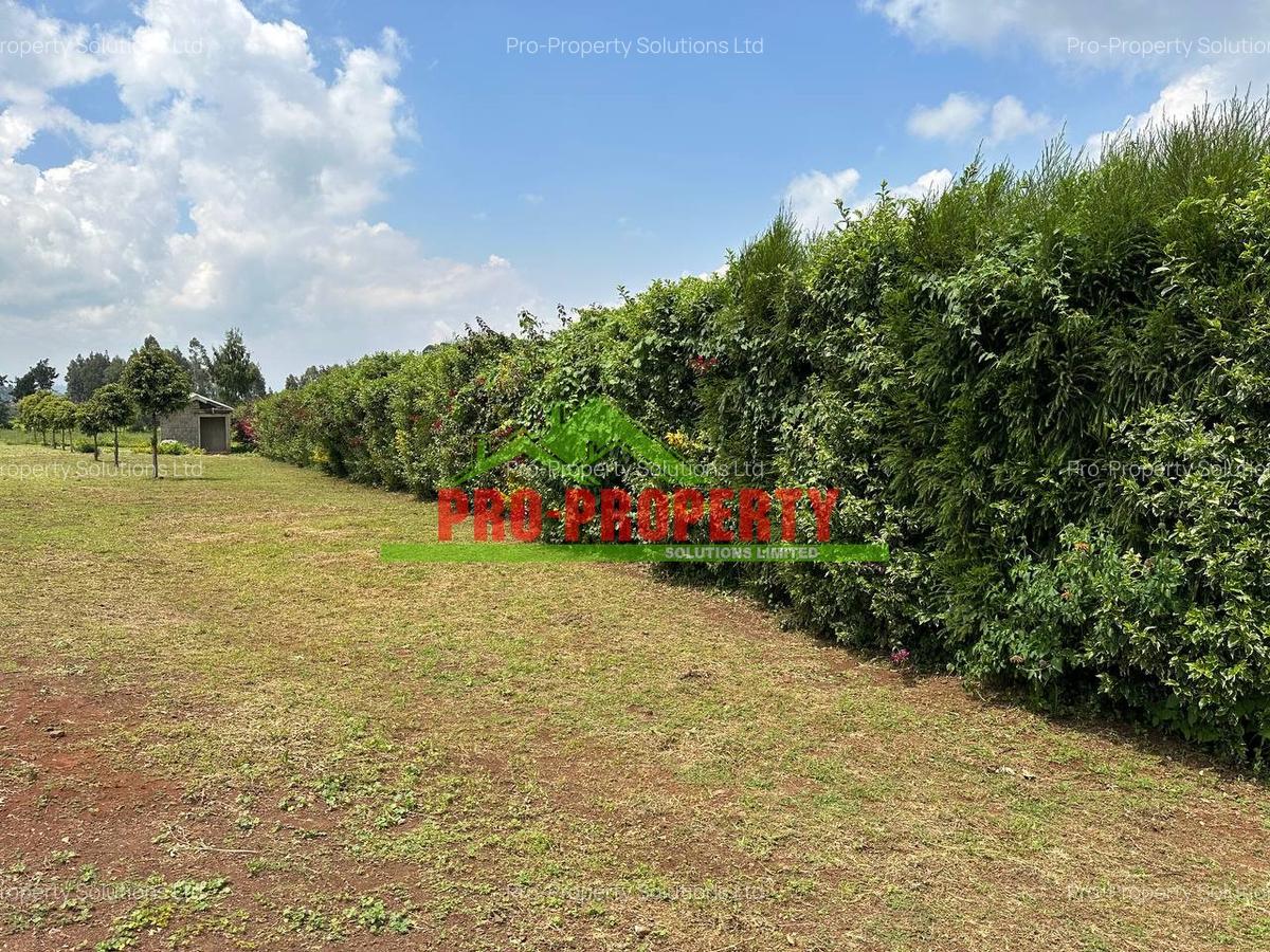 0.4 ha Land at Tilisi - 7