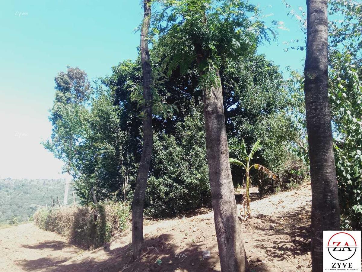 15 ac Land at Touching Nanyuki River - 2