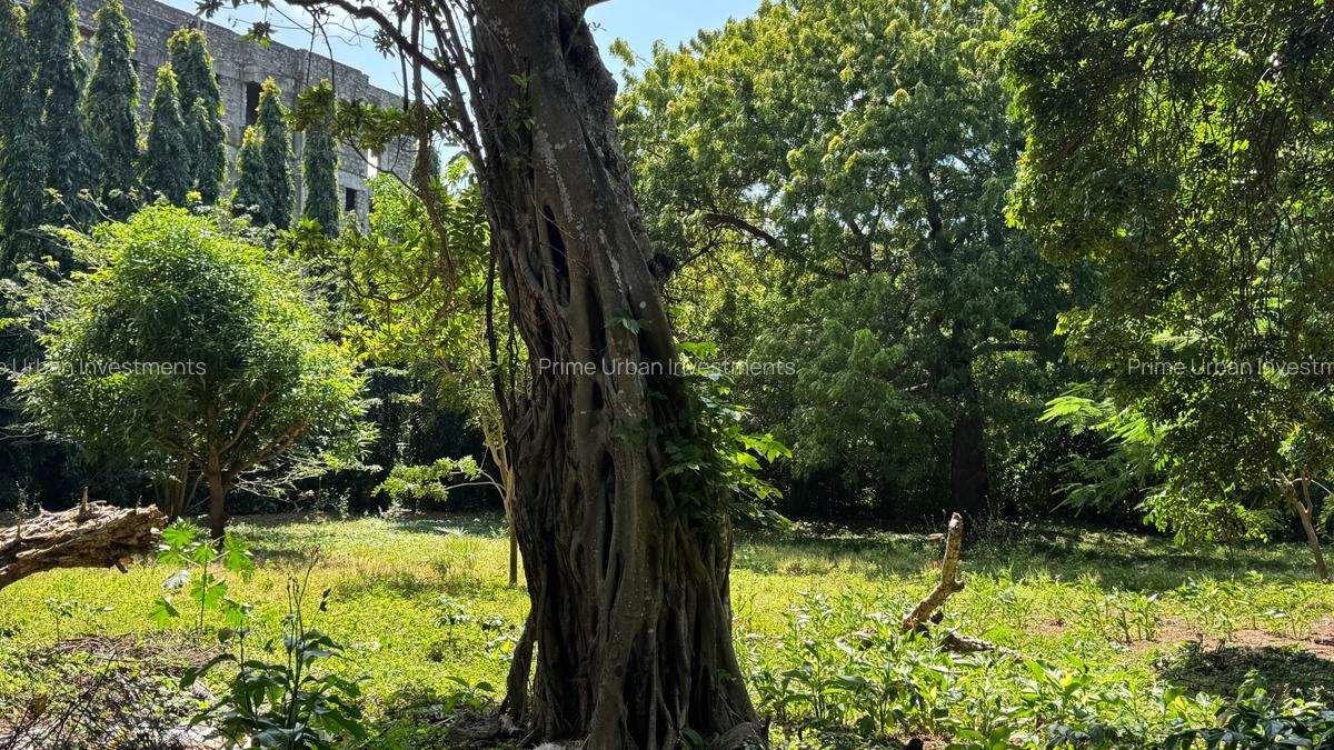 3 ac Land at Marina - Lamarina Mtwapa Creek - 19