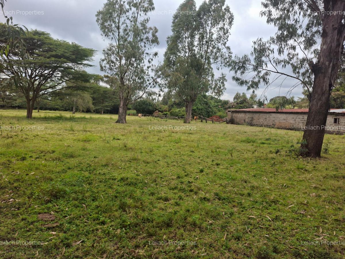 1 ac Land in Karen - 4
