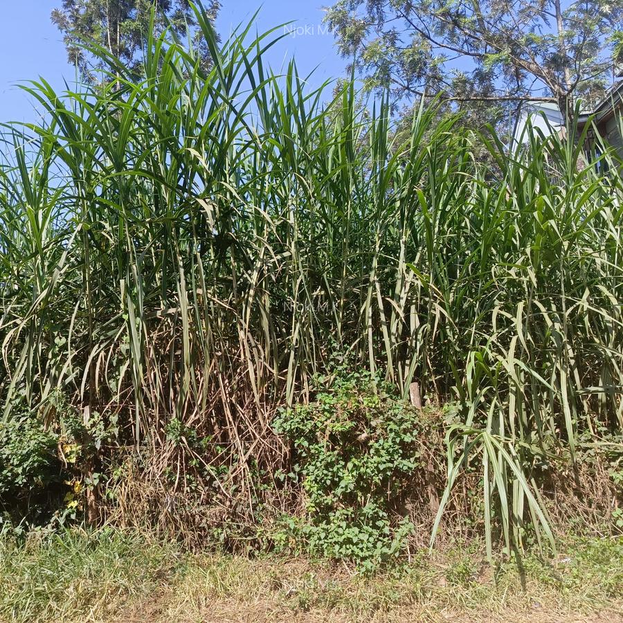 0.0400 ha Land at Turitu Area - 3